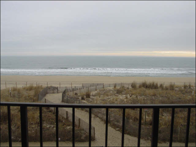 Rentals 206 View Rentals 206 View